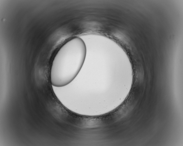 X0000087321314200704200731