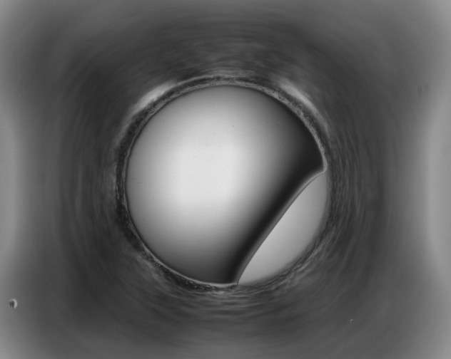 X0000087321315200704200731