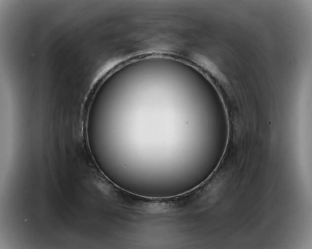 X0000087321316200704200731