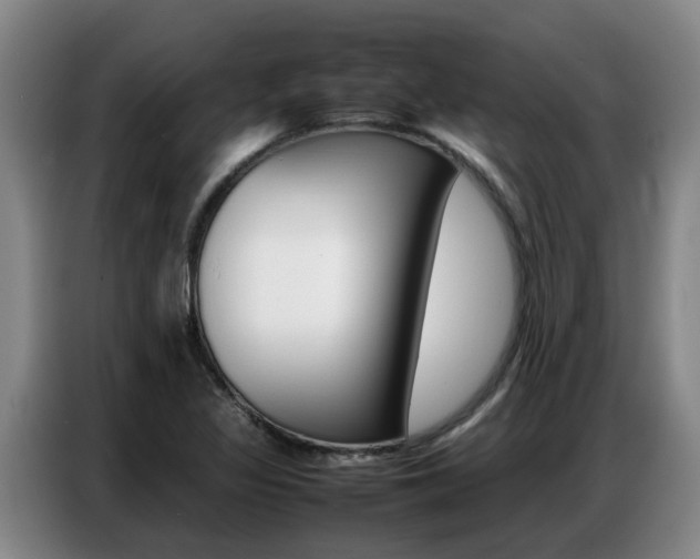 X0000087321317200704200731