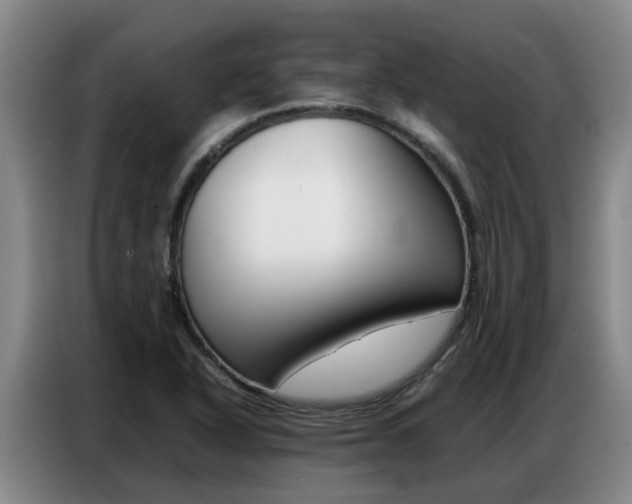 X0000087321318200704200731