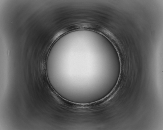 X0000087321321200704200731