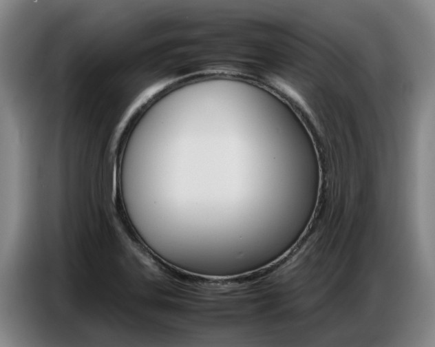 X0000087321323200704200731