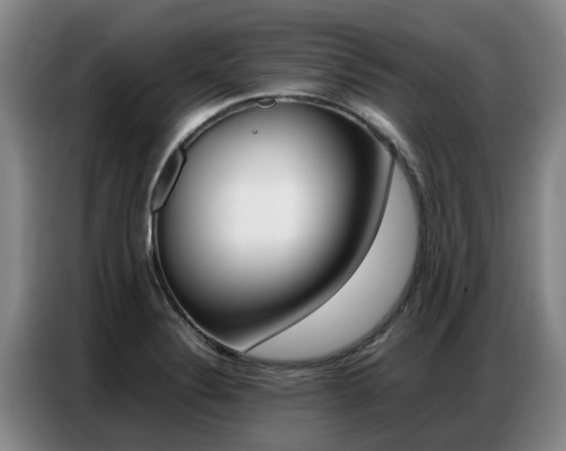 X0000087321324200704200731
