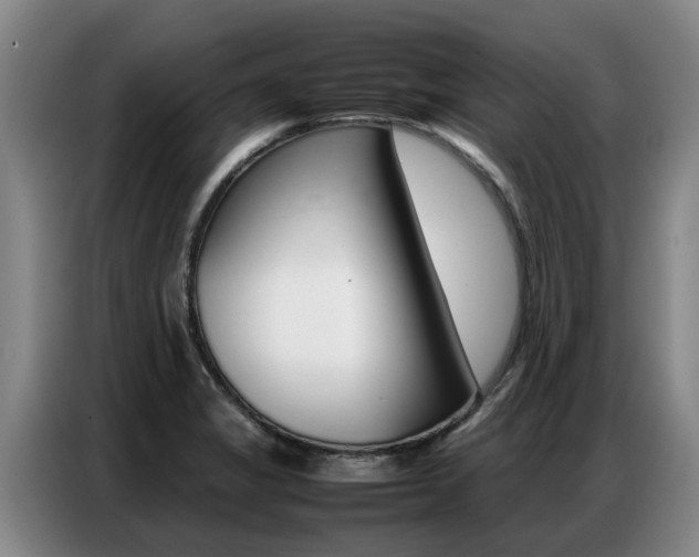 X0000087321325200704200731