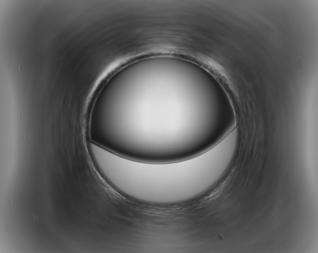 X0000087321326200704200731