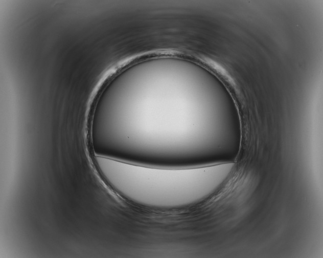 X0000087321327200704200731