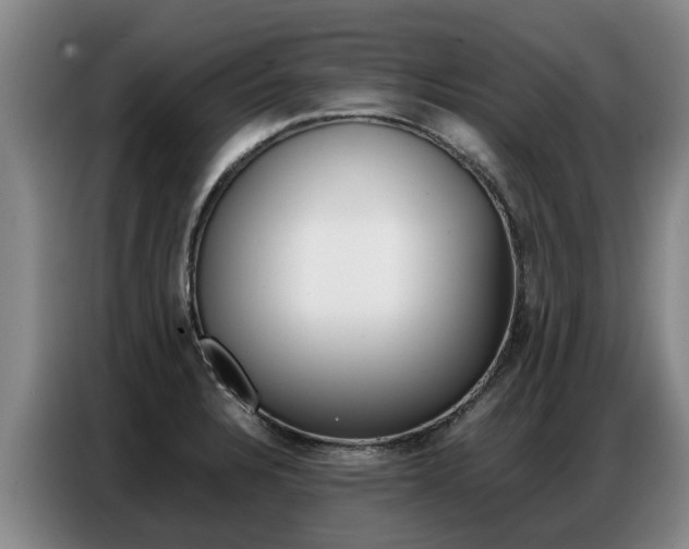 X0000087321328200704200731