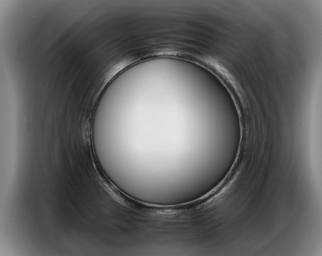 X0000087321329200704200731