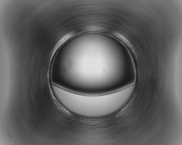 X0000087321330200704200731