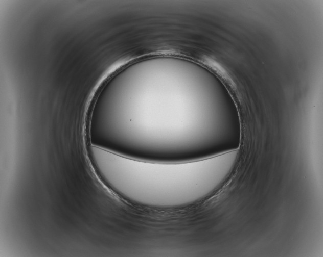 X0000087321331200704200731