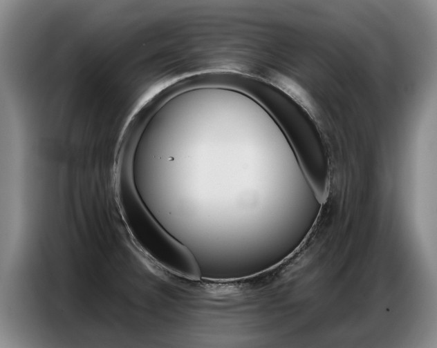 X0000087321332200704200731
