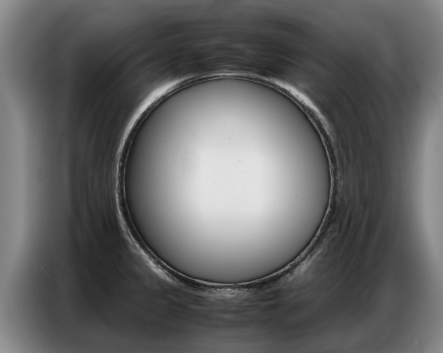 X0000087321333200704200731