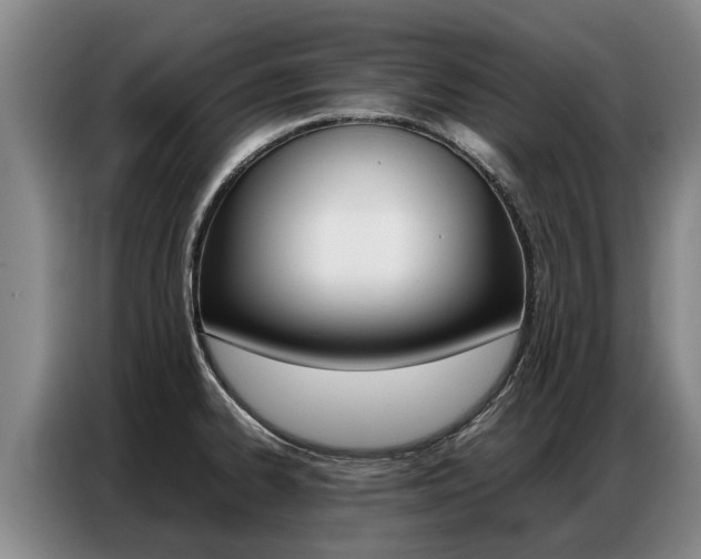 X0000087321334200704200731