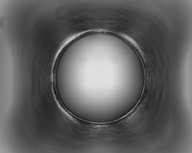 X0000087321335200704200731