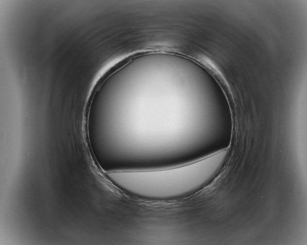 X0000087321336200704200731