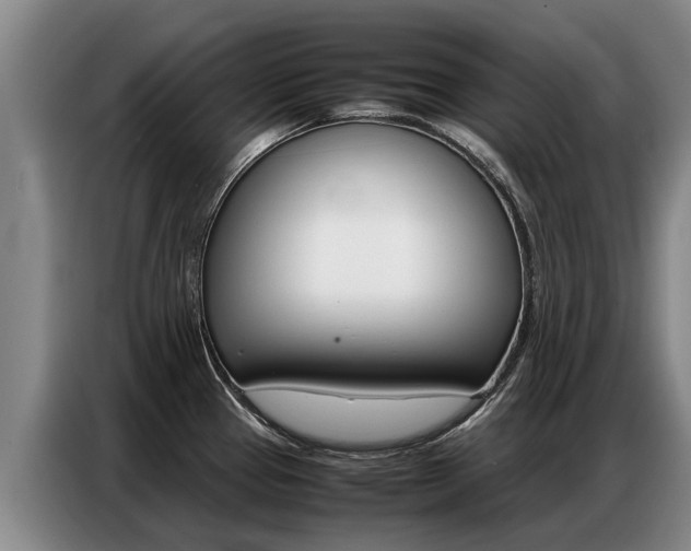 X0000087321337200704200731