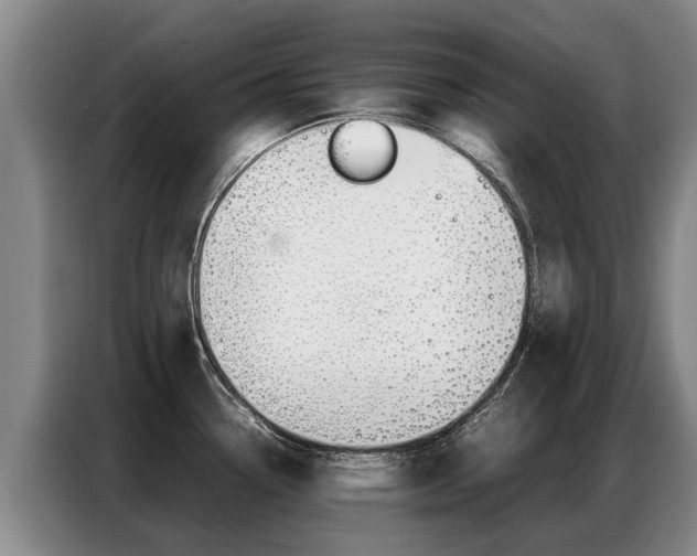 X0000087321338200704200731