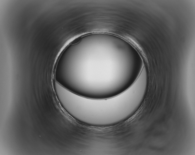 X0000087321340200704200731
