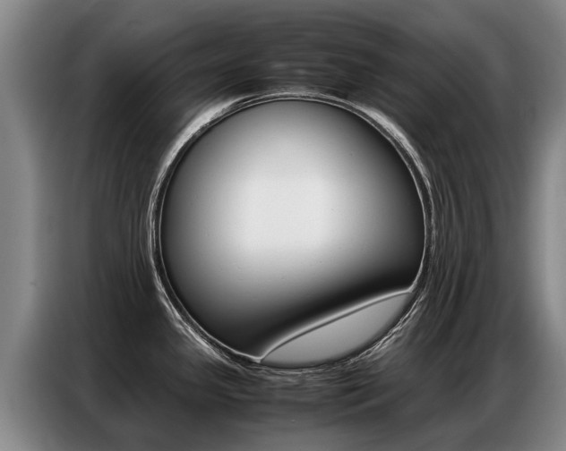 X0000087321341200704200731
