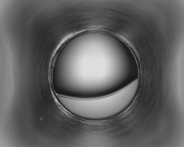 X0000087321342200704200731