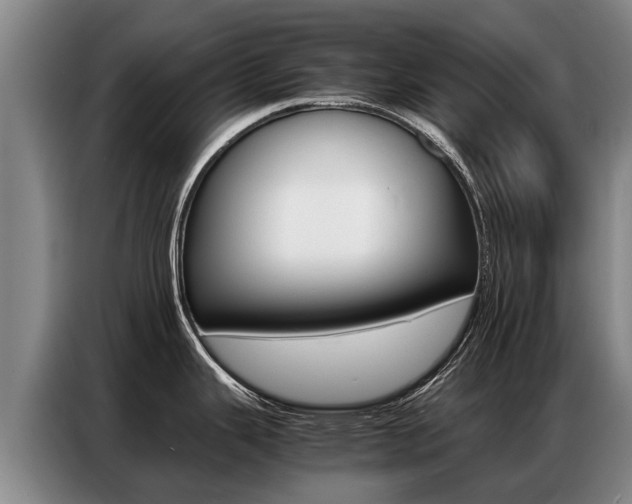 X0000087321343200704200731