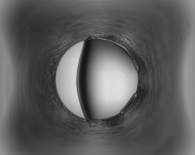 X0000087321345200704200730