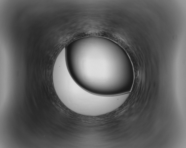 X0000087321348200704200730