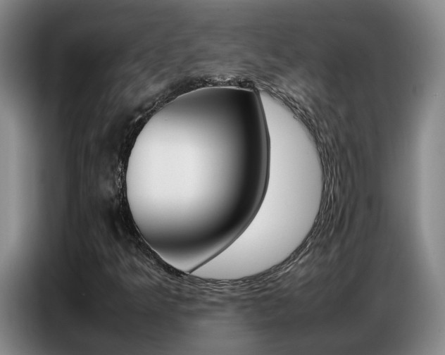 X0000087321349200704200730