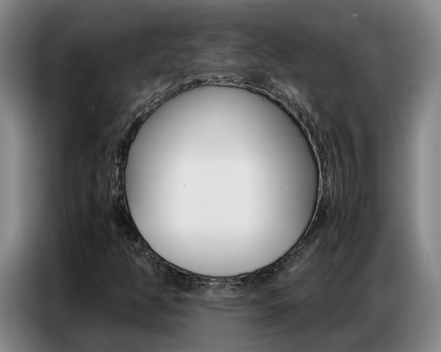 X0000087321350200704200730