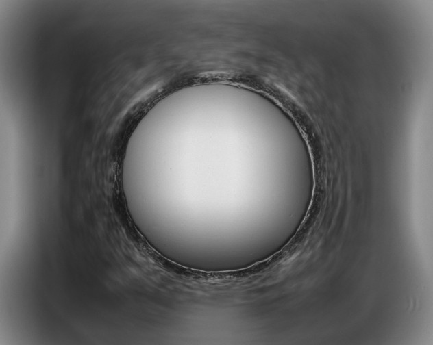 X0000087321351200704200730