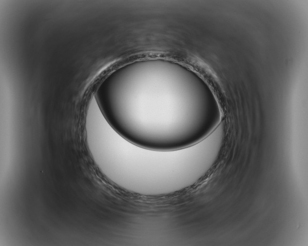 X0000087321352200704200730