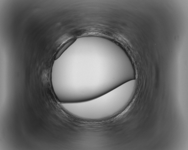 X0000087321353200704200730