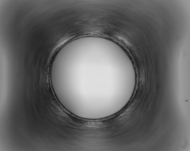 X0000087321354200704200730