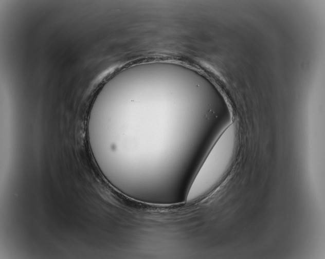 X0000087321355200704200730