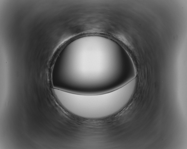 X0000087321356200704200730