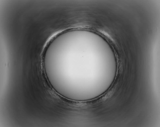X0000087321358200704200730