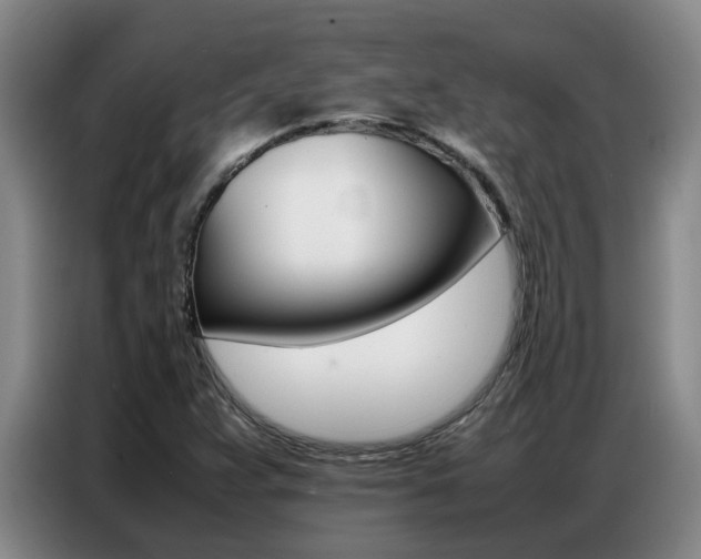 X0000087321359200704200730
