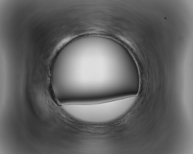 X0000087321363200704200730
