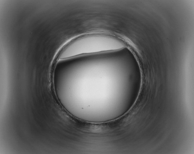 X0000087321364200704200730