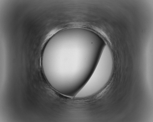 X0000087321365200704200730