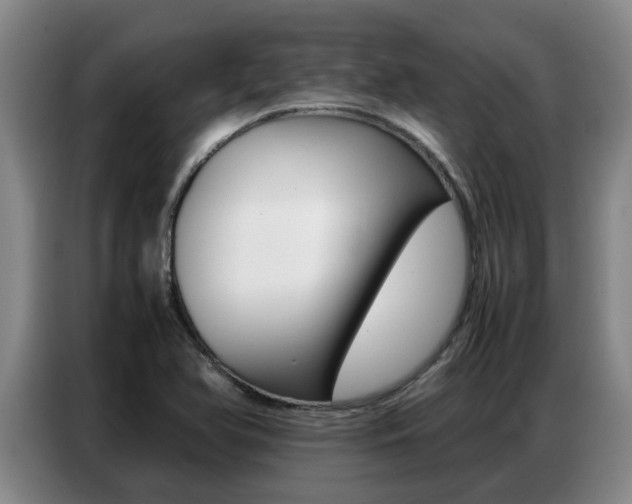 X0000087321366200704200730