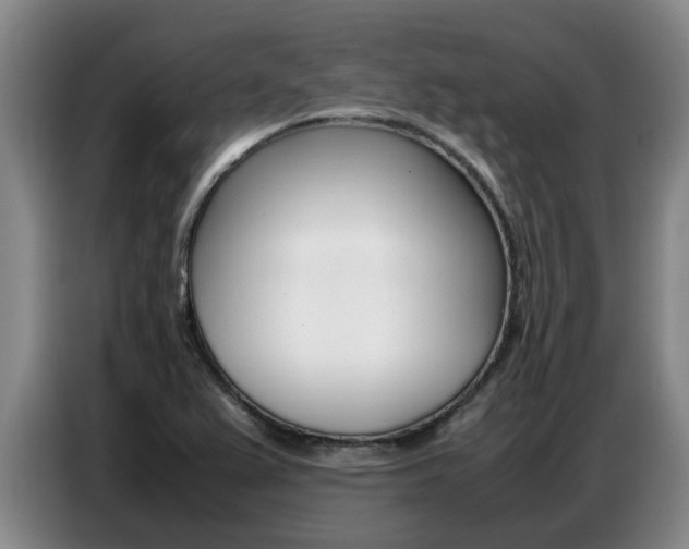 X0000087321367200704200730