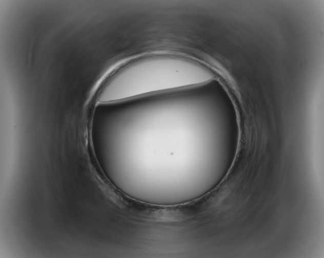 X0000087321368200704200730