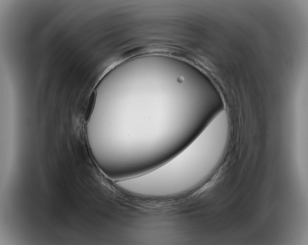 X0000087321369200704200730