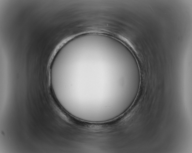 X0000087321371200704200730