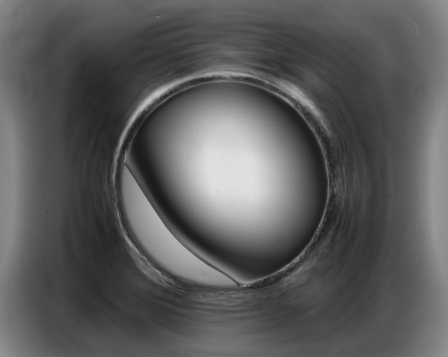 X0000087321372200704200730