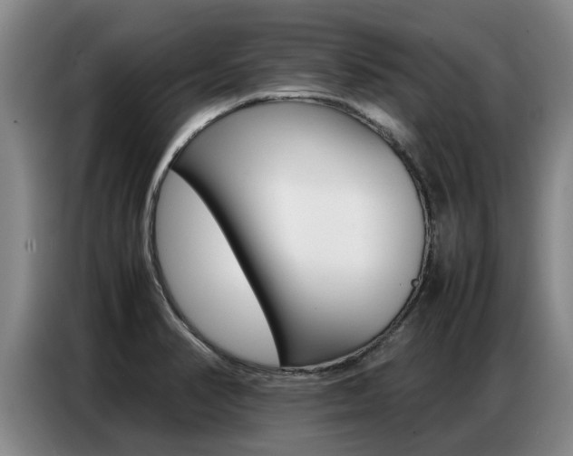 X0000087321374200704200730