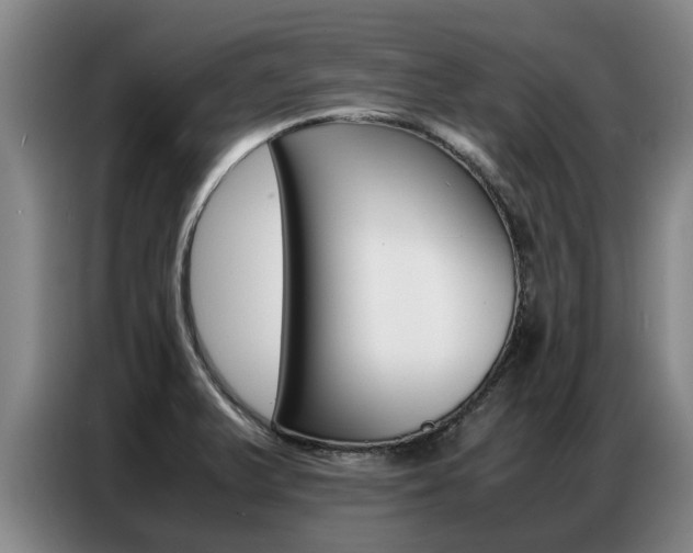 X0000087321375200704200730