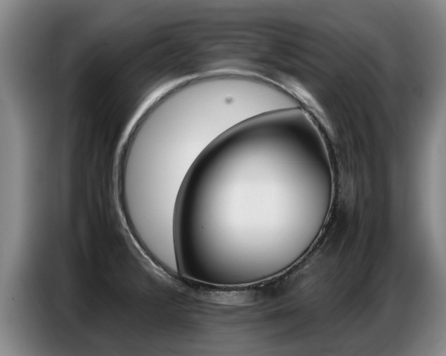 X0000087321376200704200730